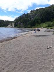 Bosque de Arrayanes y la verdad sobre la leyenda de Bambi