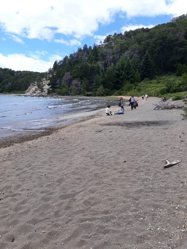 Bosque de Arrayanes y la verdad sobre la leyenda de Bambi