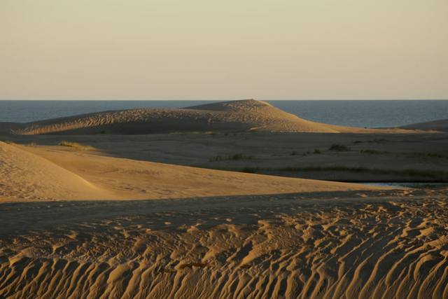 Reserva Faro Querandí, un paraíso natural en Gesell