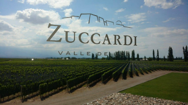 AUDIO: Una visita a la Bodega Zuccardi, en el Valle de Uco