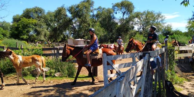 Actividades en la excursión 