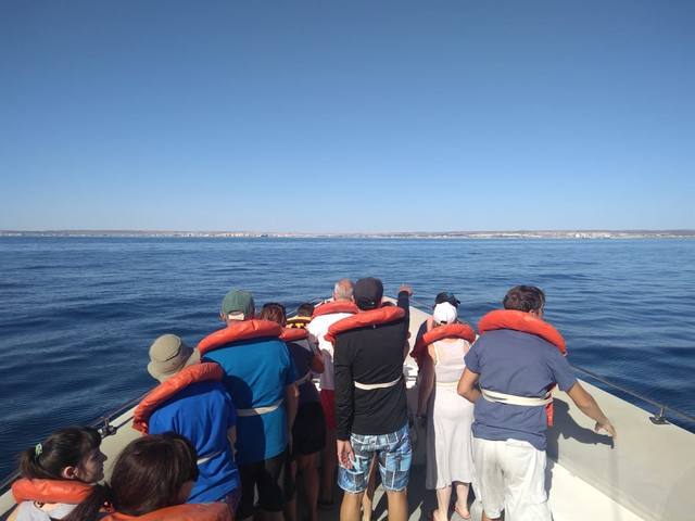 FOTO: Los delfines encantan a los turistas en Puerto Madryn
