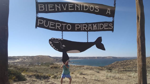 Península Valdés un paraíso de pingüinos y lobos marinos