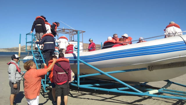 Península Valdés un paraíso de pingüinos y lobos marinos