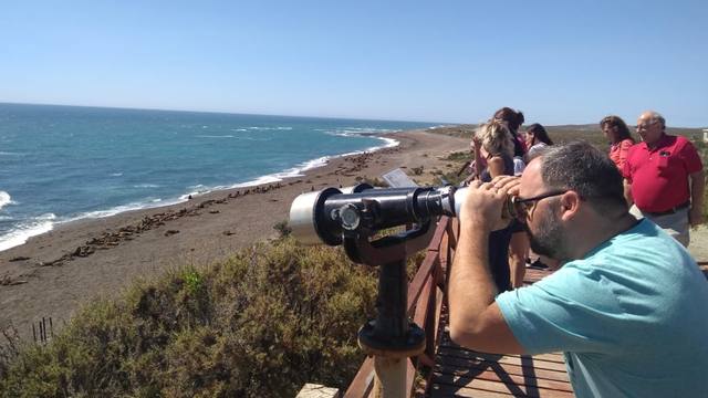 Península Valdés un paraíso de pingüinos y lobos marinos