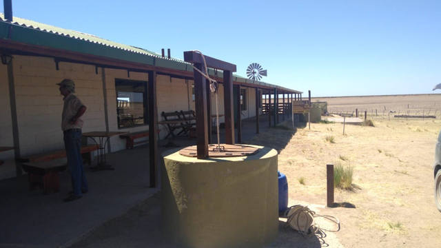 Península Valdés un paraíso de pingüinos y lobos marinos