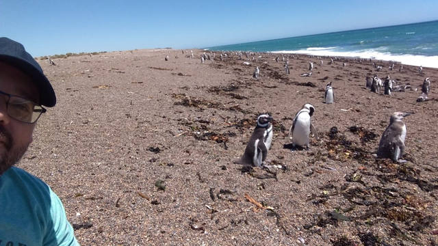 Península Valdés un paraíso de pingüinos y lobos marinos