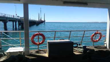 AUDIO: Paseo en crucero por la costa de Puerto Madryn