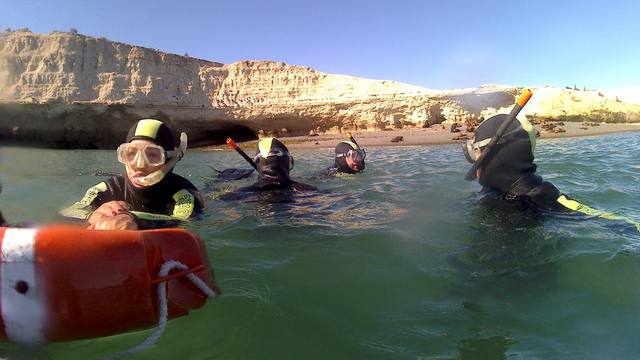 FOTO: Como un pingüino más, Matías Arrieta buceó con lobos marinos