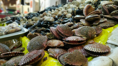 AUDIO: Caleta Portales, un rincón de pescadores y frutos del mar