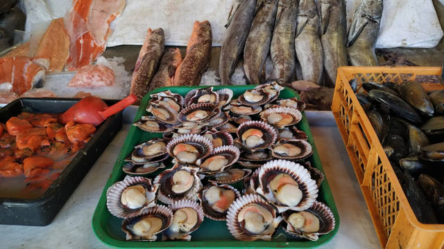 FOTO: Caleta Portales, un rincón de pescadores y frutos de mar