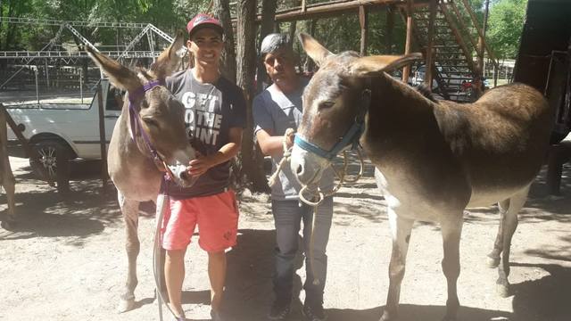 Rally de Burros: Chimichurri y Clementina, clásicos rivales