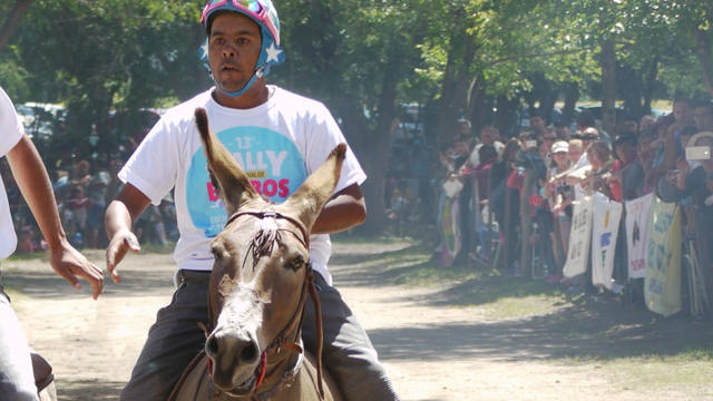 Renzo Álvarez y su burro, 