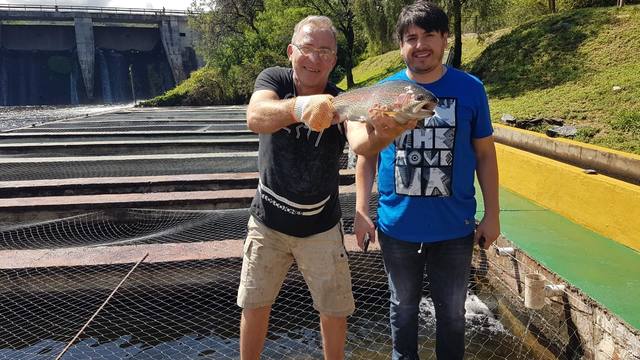 Truchas para todos los gustos en Las Tapias