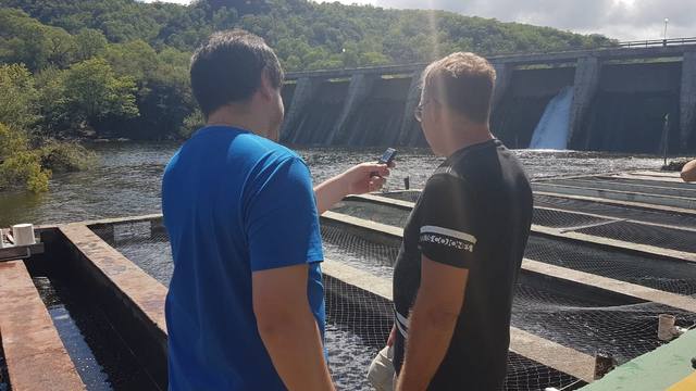 Truchas para todos los gustos en Las Tapias