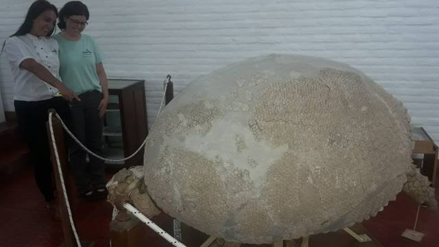 El museo de iglesia cuenta con un gliptodonte