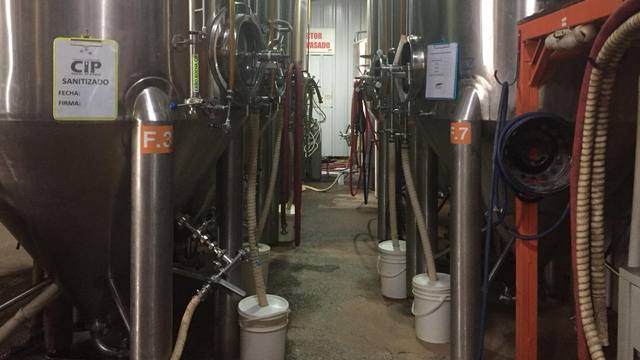 Cerveza artesanal, desde Ushuaia a toda la Antártida