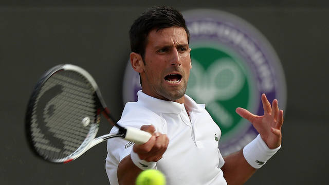 Graves insultos a Djokovic por apoyar a la selección croata