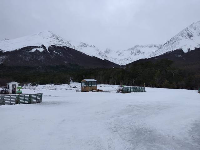Esquí de fondo por los bosques de Tierra del Fuego
