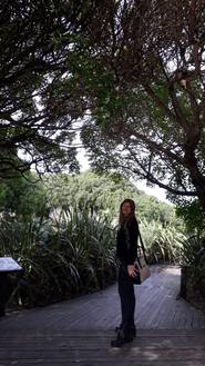 Aquarium, la inmensa diversidad marina en un parque natural