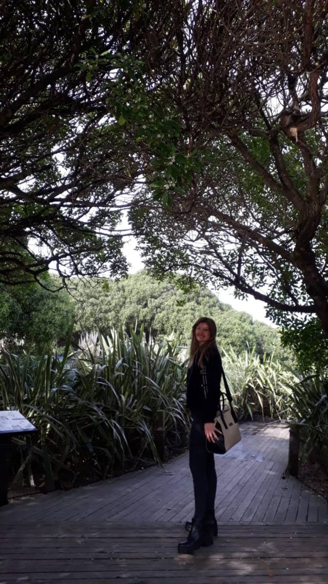 Aquarium, la inmensa diversidad marina en un parque natural