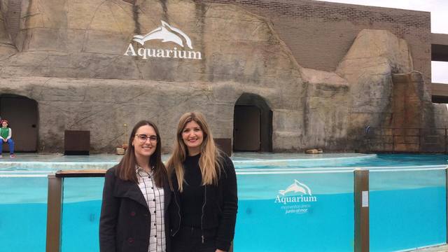 Aquarium, la inmensa diversidad marina en un parque natural