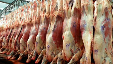 AUDIO: Crecen exportaciones de carne vacuna y cae consumo interno