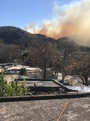 Controlaron el foco que quedaba activo en Colonia Hogar