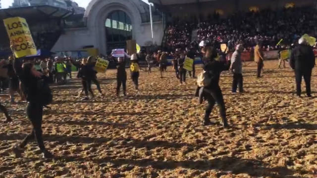 Sacaron a rebencazos a veganos que protestaron en La Rural