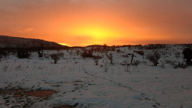 Imperdibles imágenes de la nevada en el norte cordobés