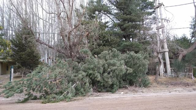 El desolador paisaje que dejó el paso del fuego