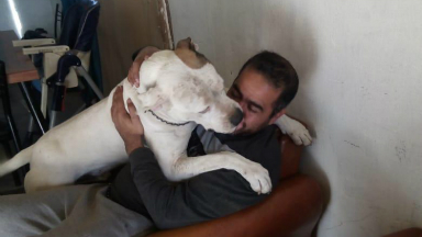 Las víctimas se defendieron con un cuchillo del dogo