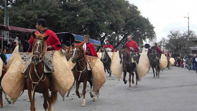 AUDIO: Proteccionistas piden que gauchos no desfilen a caballo