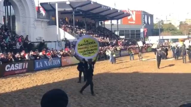 Activistas veganos irrumpieron en la pista de La Rural.