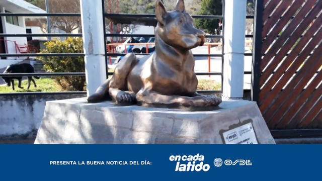 Capitán, el perro leyenda que tiene monumento en Carlos Paz
