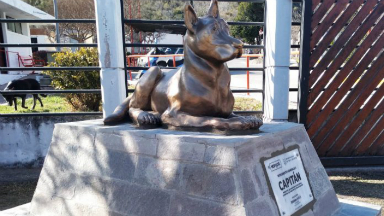 Capitán, el perro leyenda de Carlos Paz, tiene su monumento