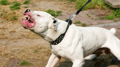 El hombre continúa en terapia intensiva en Unquillo