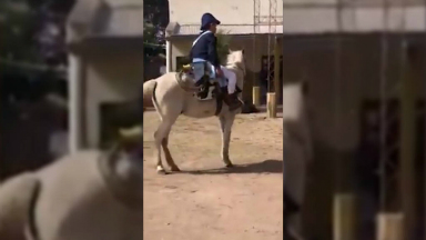 Maestro entró al colegio a caballo y vestido como San Martín