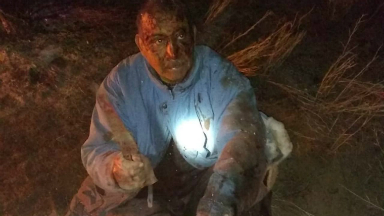 Un hombre se trensó con un puma para salvar a su perro