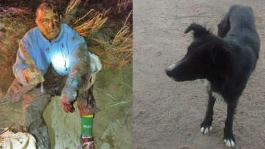 Mi instinto fue defender al perro y él me salvó la vida