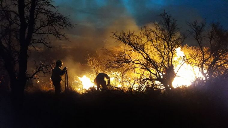 Las llamas destruyeron pastizales y palmeras.