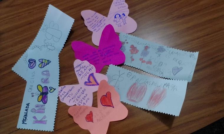 "Magia alada", un taller para criar mariposas