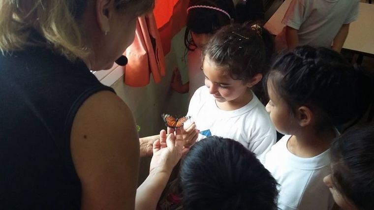 "Magia alada", un taller para criar mariposas