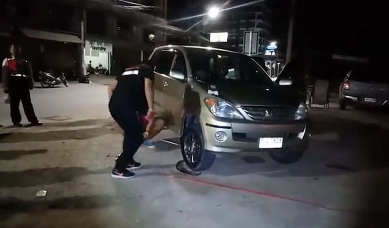 La pitón murió al ser sacada de la rueda