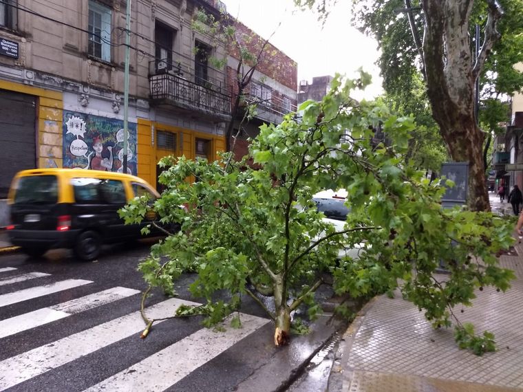 Temporal en Capital Federal.