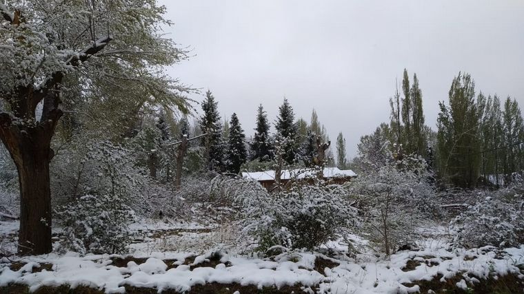 Nieve en Mendoza.