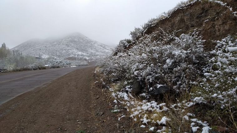 FOTO: Nieve en Mendoza.