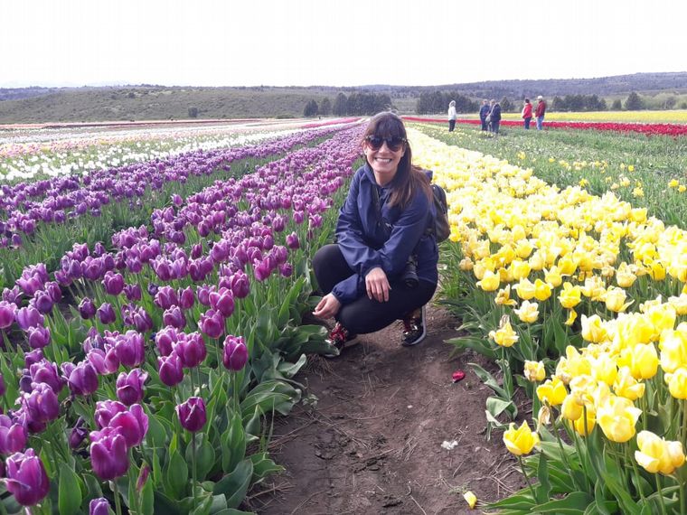 Tulipanes en Trevelin