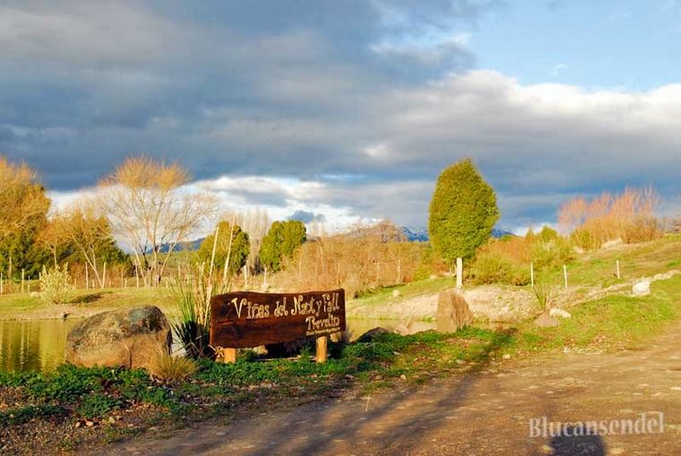 FOTO: Viñas de Nant y Fall en Trevelin, Chubut