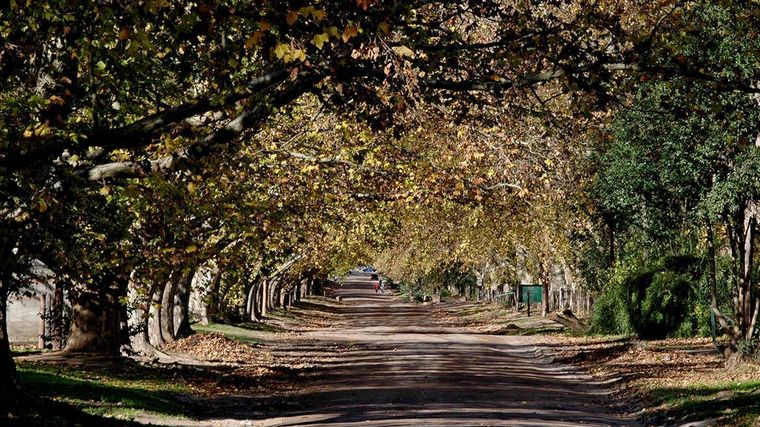 Camino Real Norte de Córdoba